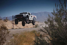 Load image into Gallery viewer, Photo - lifestyle view