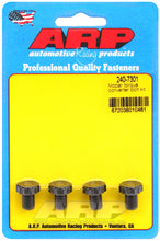 Load image into Gallery viewer, Photo - Primary