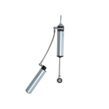 Load image into Gallery viewer, Photo - Close Up