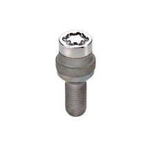 Load image into Gallery viewer, Photo - Primary