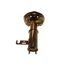 Load image into Gallery viewer, Photo - out of package