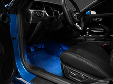 Load image into Gallery viewer, Photo - Primary