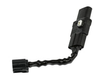 Load image into Gallery viewer, Photo - Unmounted