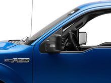 Load image into Gallery viewer, Photo - Close Up