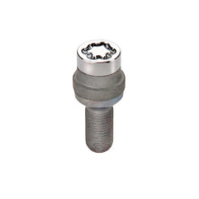 Load image into Gallery viewer, Photo - Primary