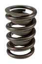 COMP Cams Single Spring w/ Damper - 1.440in OD 1.750IH - Single