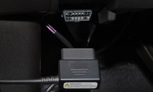 Load image into Gallery viewer, Photo - Close Up