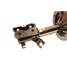 Load image into Gallery viewer, Photo - out of package