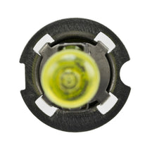 Load image into Gallery viewer, Photo - Unmounted