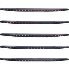 Load image into Gallery viewer, User 1