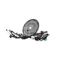 Load image into Gallery viewer, Photo - Unmounted