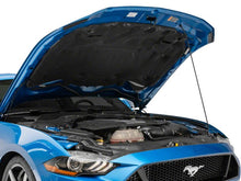 Load image into Gallery viewer, Photo - Close Up