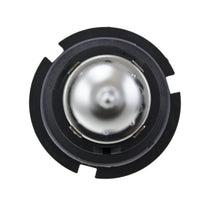 Load image into Gallery viewer, Photo - Close Up