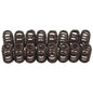 Edelbrock Chevy LS V8 Sure Seat Valve Springs