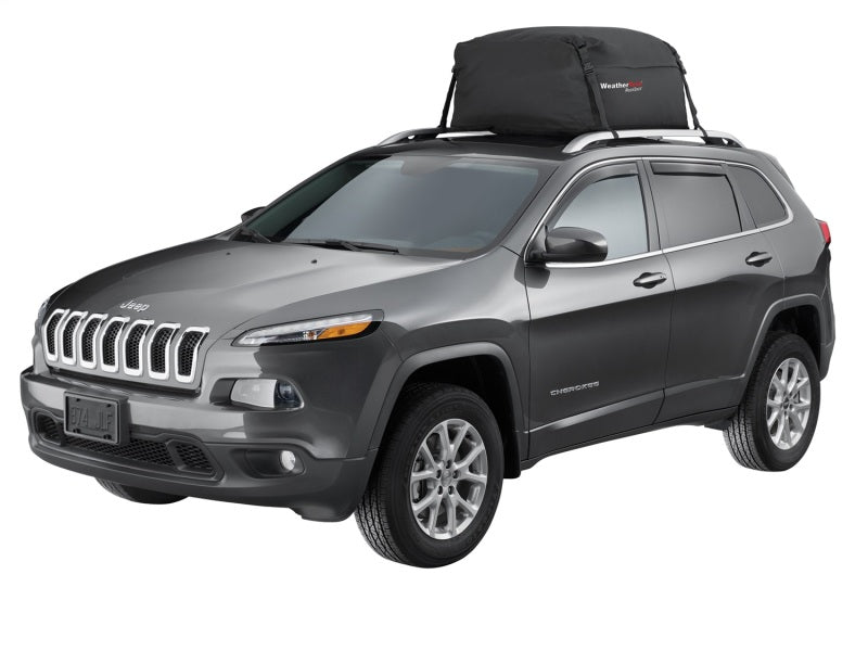 WeatherTech Universal Automobile Automobile Roof RackSack-39ft L x 32ft W x 18ft T - Black