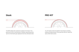 Eibach 05-12 Porsche Boxster 987 Pro-Kit