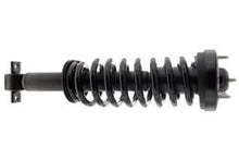 Load image into Gallery viewer, User 1