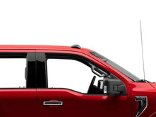 Load image into Gallery viewer, Photo - Close Up