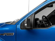 Load image into Gallery viewer, Photo - Close Up