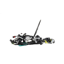 Load image into Gallery viewer, Photo - Unmounted