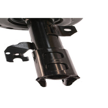 Load image into Gallery viewer, Photo - out of package