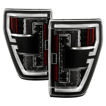 Load image into Gallery viewer, Photo - Primary