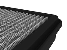 Load image into Gallery viewer, Photo - Close Up