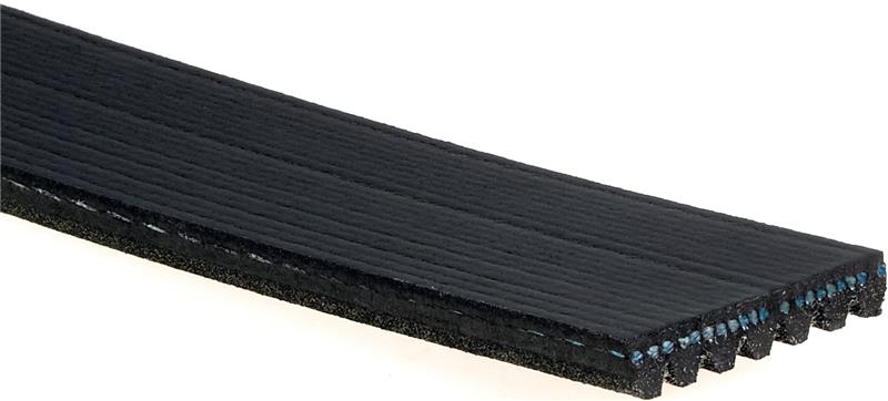 Gates 2006 Honda Civic 4-Cyl. 1.8L Serpentine Standard V-Ribbed Belt