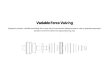 Load image into Gallery viewer, Illustration Guide