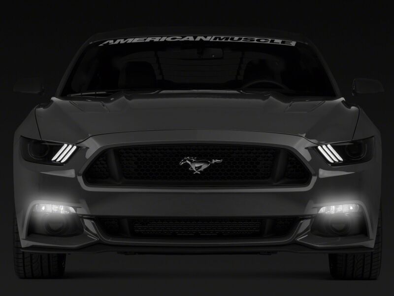 Raxiom 15-17 Ford Mustang Axial Series Switchback Turn Signal Conversion Kit