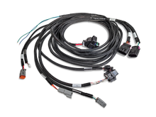 Load image into Gallery viewer, Photo - Primary