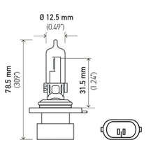 Load image into Gallery viewer, Technical Drawing