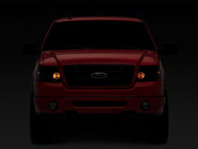 Load image into Gallery viewer, Photo - Close Up