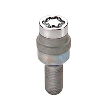 Load image into Gallery viewer, Photo - Primary