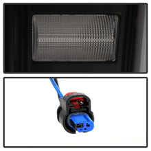 Load image into Gallery viewer, Photo - Unmounted