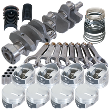 Load image into Gallery viewer, Photo - Primary