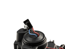 Load image into Gallery viewer, Photo - Close Up