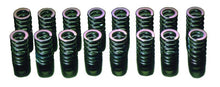 Load image into Gallery viewer, HKS Stem-seal set RB26DETT
