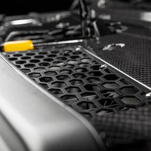 Load image into Gallery viewer, User 1