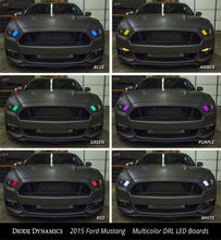 Load image into Gallery viewer, User 5