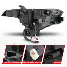 Load image into Gallery viewer, User 1