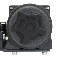 Load image into Gallery viewer, Photo - Unmounted