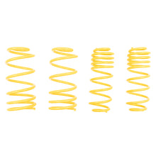 Load image into Gallery viewer, User 1