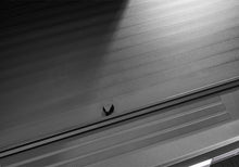 Load image into Gallery viewer, Photo - Mounted