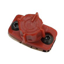 Load image into Gallery viewer, Photo - Primary