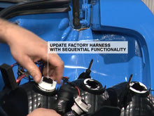 Load image into Gallery viewer, Photo - Close Up