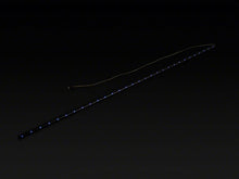 Load image into Gallery viewer, Photo - Close Up