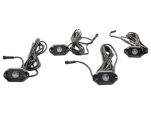 Load image into Gallery viewer, Photo - Primary