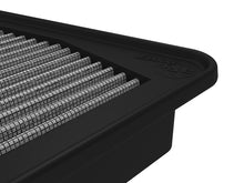 Load image into Gallery viewer, Photo - Close Up