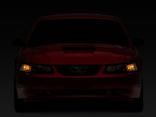 Load image into Gallery viewer, Photo - Close Up